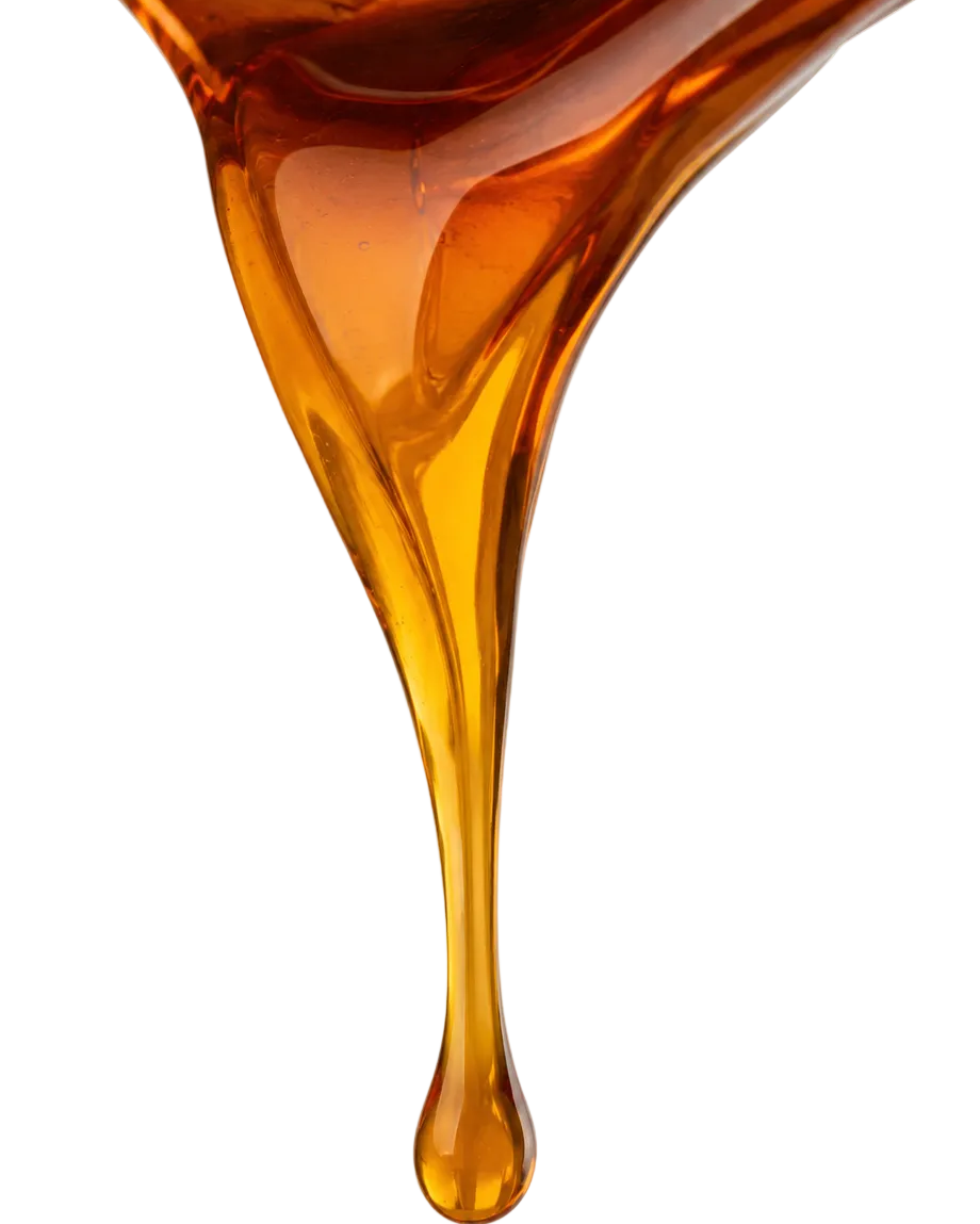 Organic Maple Syrup
